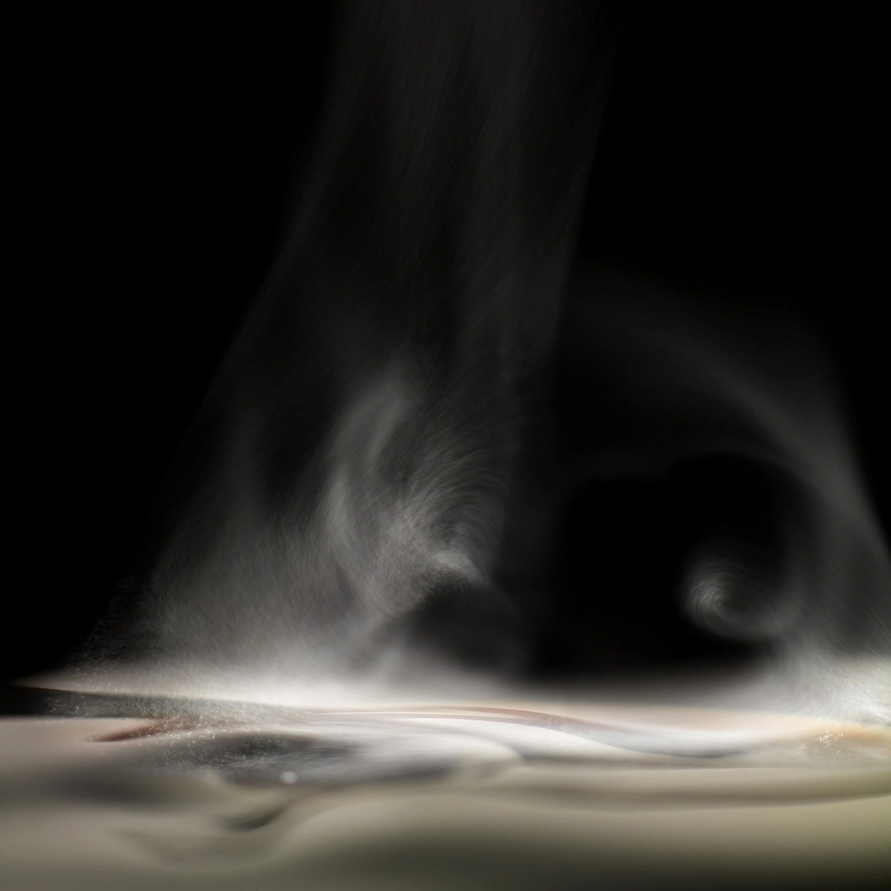 STEAM.Plus